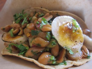 Pork Belly Taco