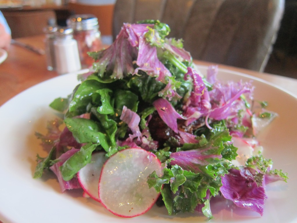 Spinach & Purple Kale Salad with Pecorino Romano, Medjool Dates, Shaved Radishes and Mustard Vinaigrette