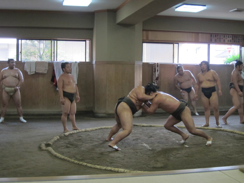 Sumo!