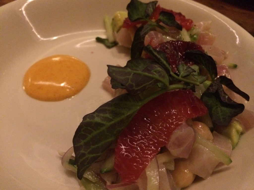 Raw Hamachi Salad, Chickpea, Avocado, Cucumber, Preserved Lemon and Blood Orange