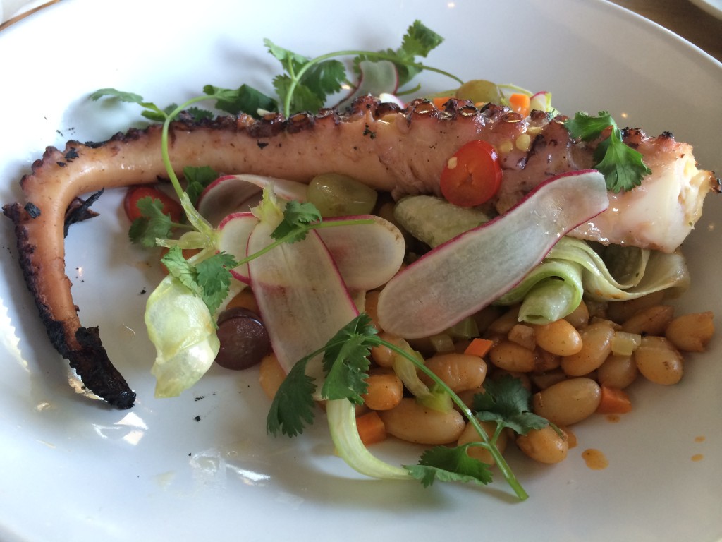 Grilled Octopus with Smoked Beans, Grapes, Celery and Pickled Chili